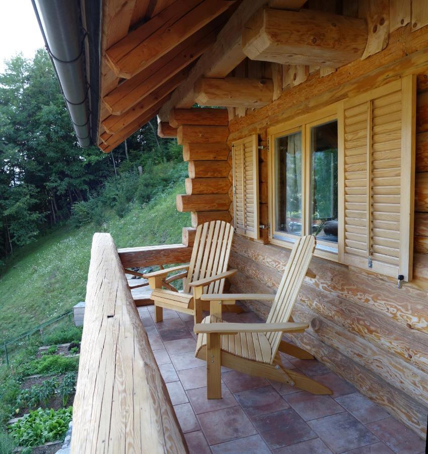 Natur Apartma Rudi Begunje na Gorenjskem Ngoại thất bức ảnh