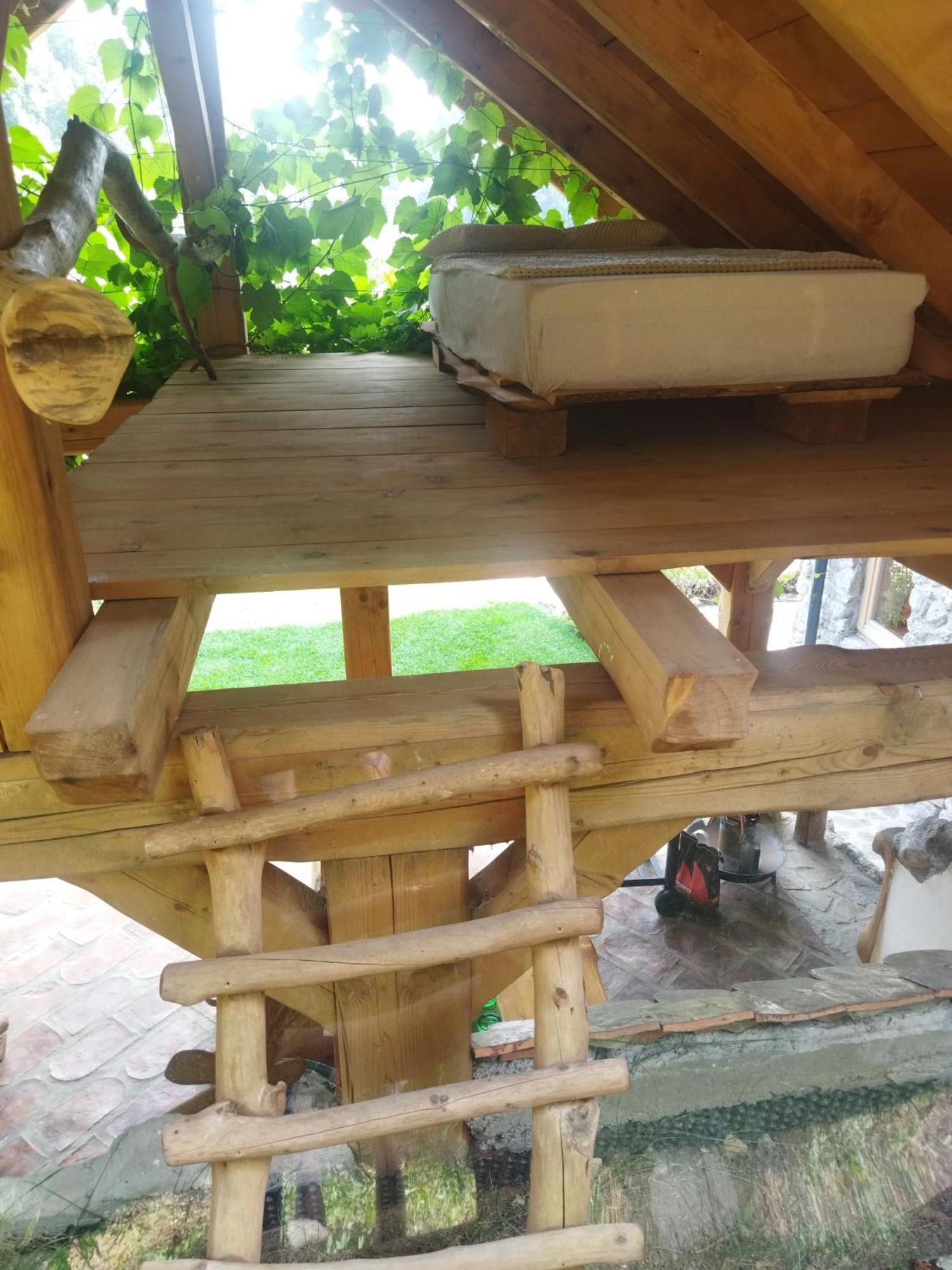 Natur Apartma Rudi Begunje na Gorenjskem Ngoại thất bức ảnh